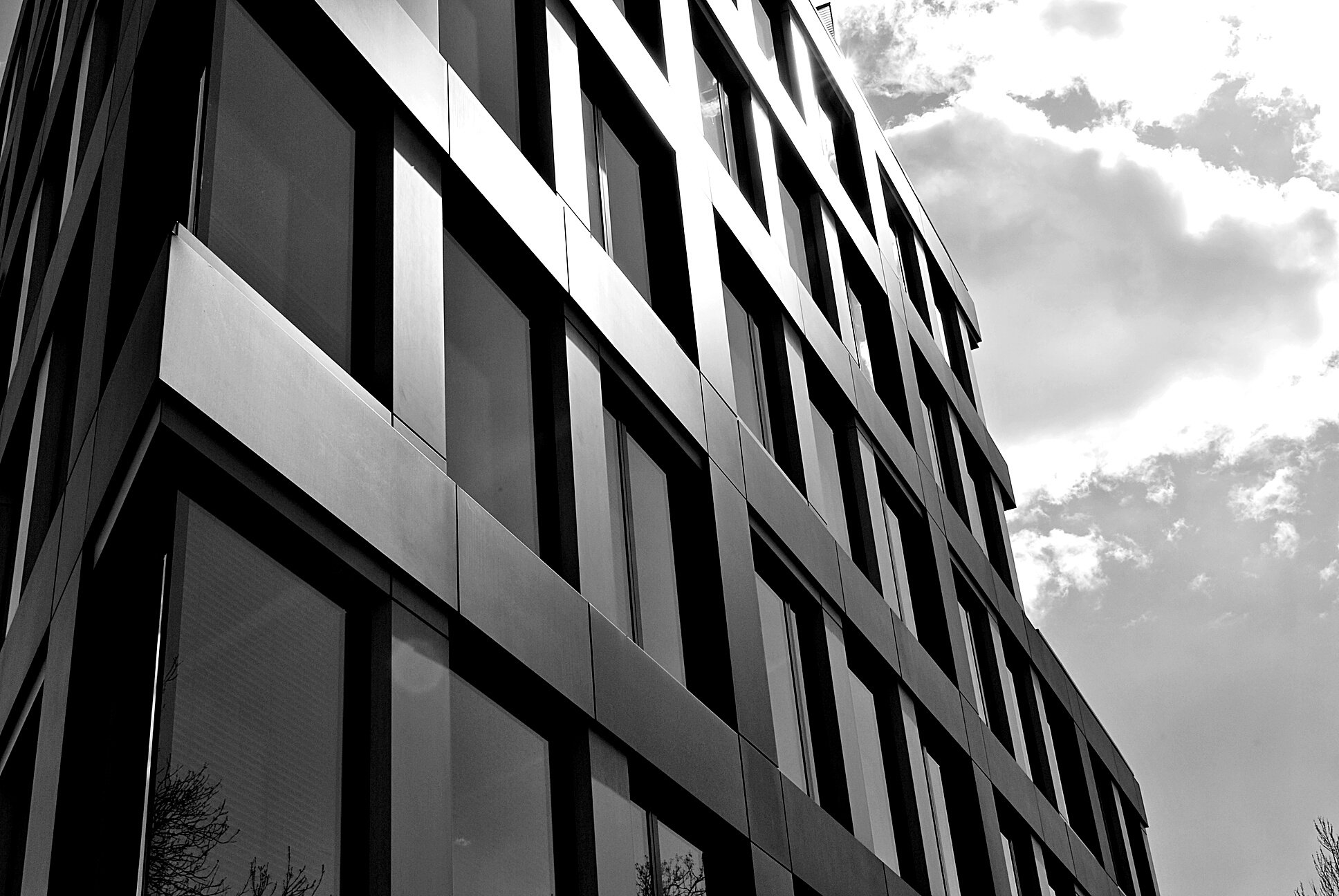 Modern office building. Black and white